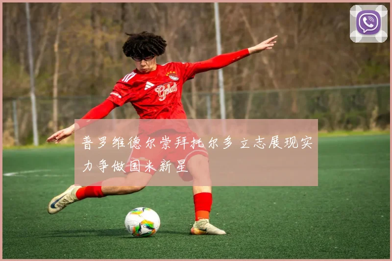 普罗维德尔崇拜托尔多立志展现实力争做国米新星